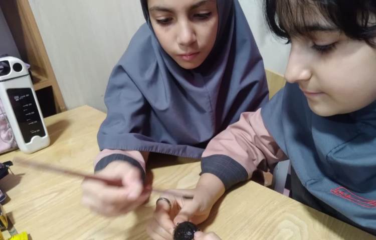 پروژه مهندسان طبیعت 6