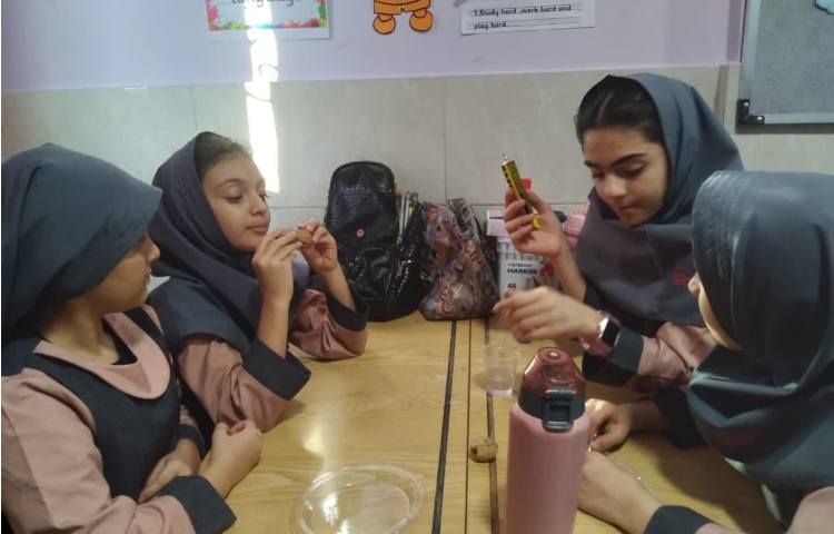 پروژه مهندسان طبیعت 9