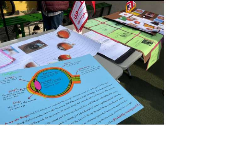 (پروژه های علمی زبان) 1