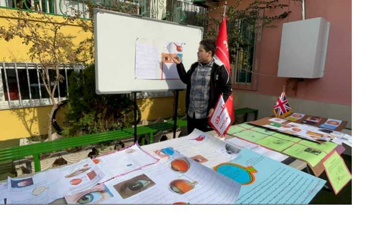 (پروژه های علمی زبان) 5