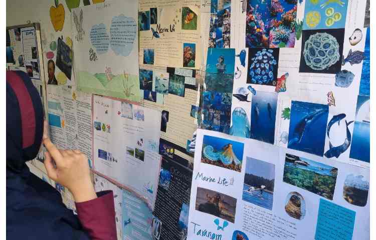 پروژه های علمی و زبانی 1