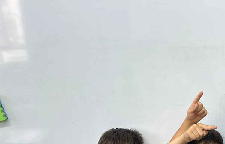 پروژه چوب جادویی زنبور عسل کلاس1/1 خانم حسینی 4