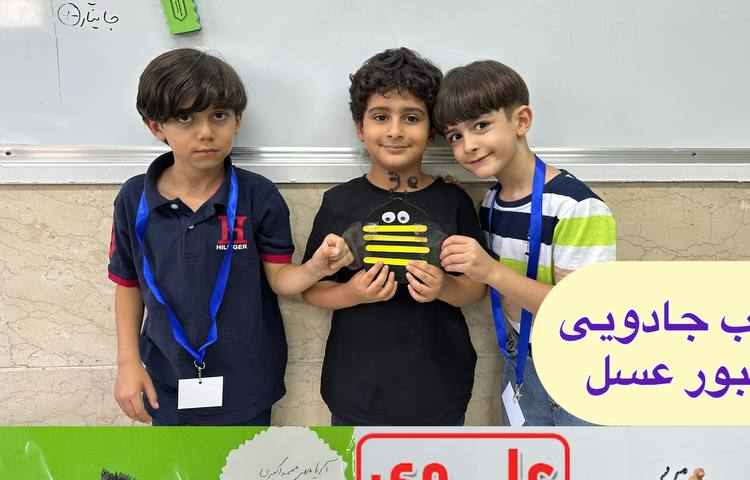 پروژه چوب جادویی زنبور عسل کلاس1/1 خانم حسینی