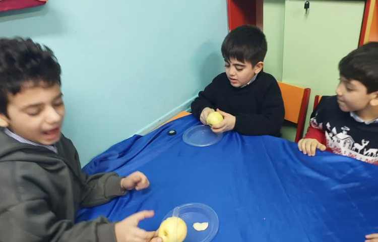 پروژه کافه سلامت هفته ملی علوم