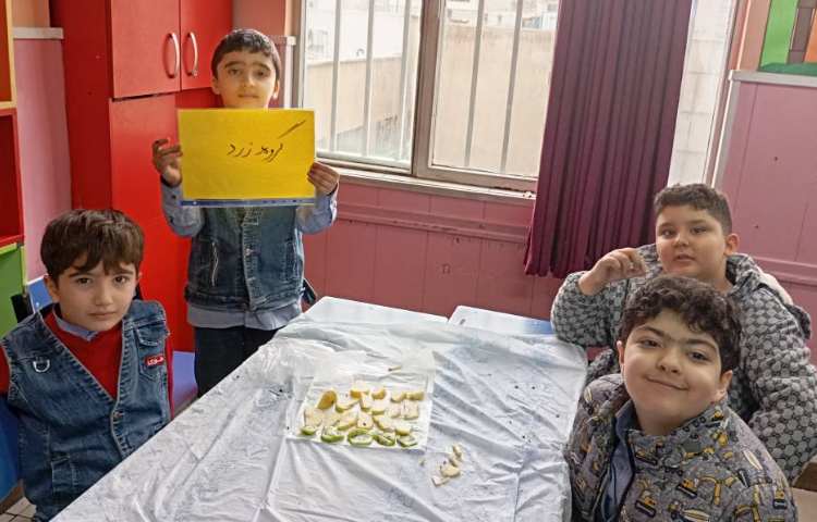 پروژه کافه سلامت 3