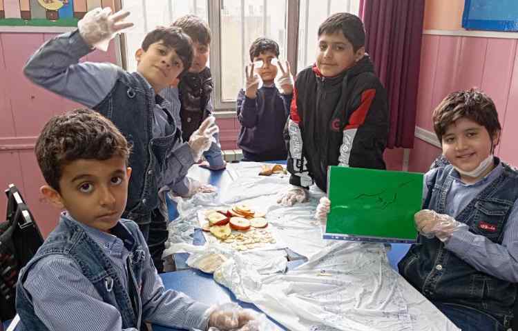 پروژه کافه سلامت 5