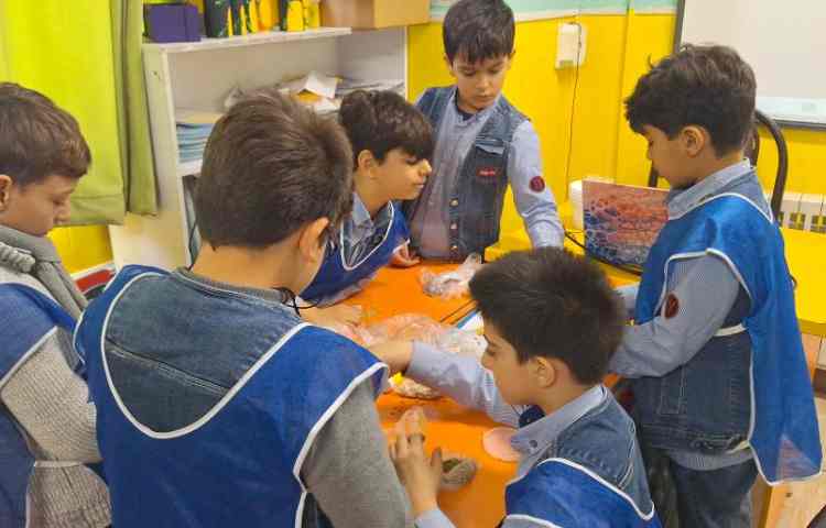 پروژه‌ی تابلوی حبوبات 3