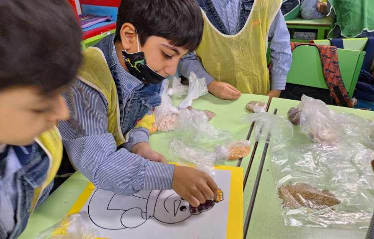 پروژه‌ی تابلوی حبوبات 4