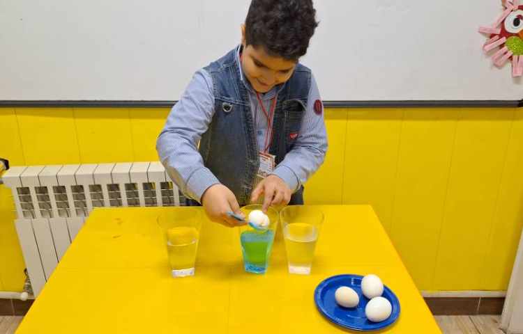 پروژه ی ترفندهای نمکی 1