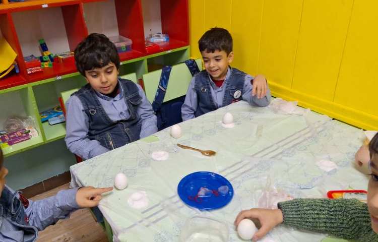 پروژه ی ترفندهای نمکی