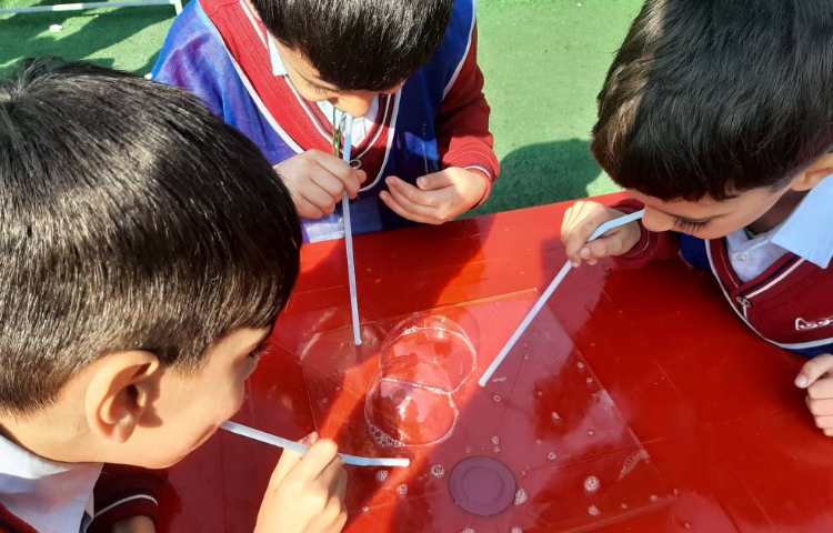 پروژه ی حباب بازی 1