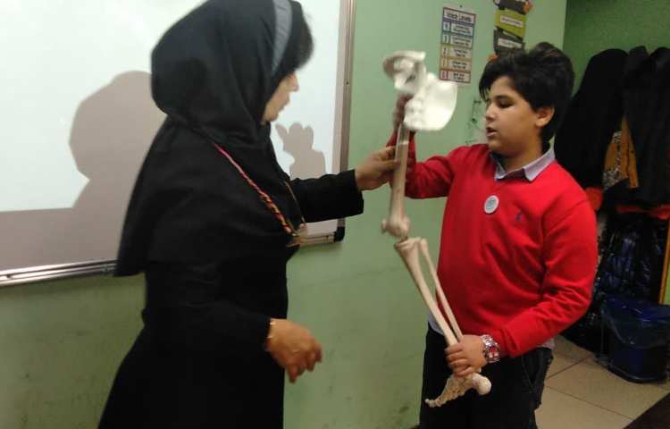 پوکی استخوان / اعصاب سنج (هفته ملی علوم) 9