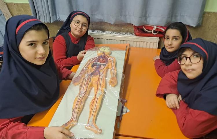 پوکی استخوان