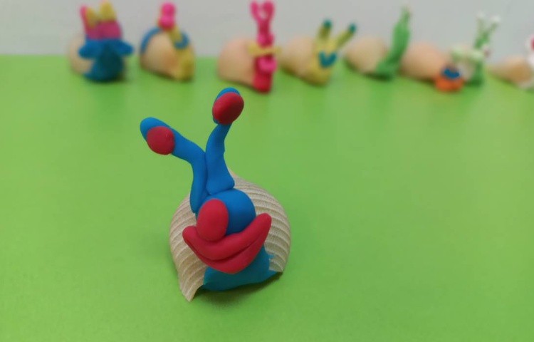 پژوهش حلزون ها همراه با دست سازه حلزون 1