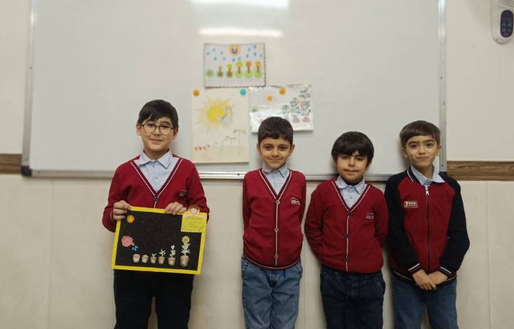 پژوهش درباره‌ی چگونگی رشد گیاه توسط گروه های سبز.قرمز.آبی و زرد 3