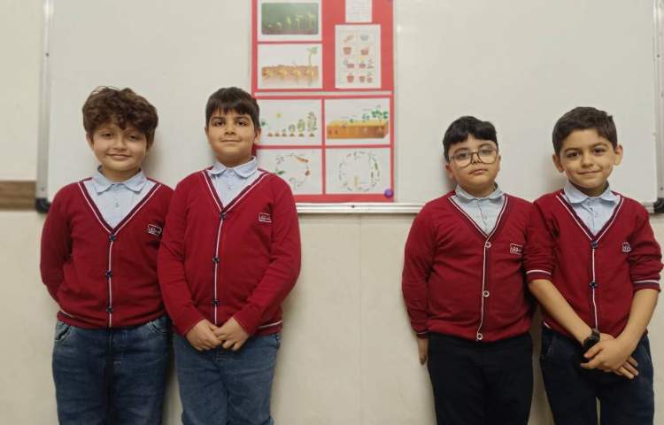 پژوهش درباره‌ی چگونگی رشد گیاه توسط گروه های سبز.قرمز.آبی و زرد 4