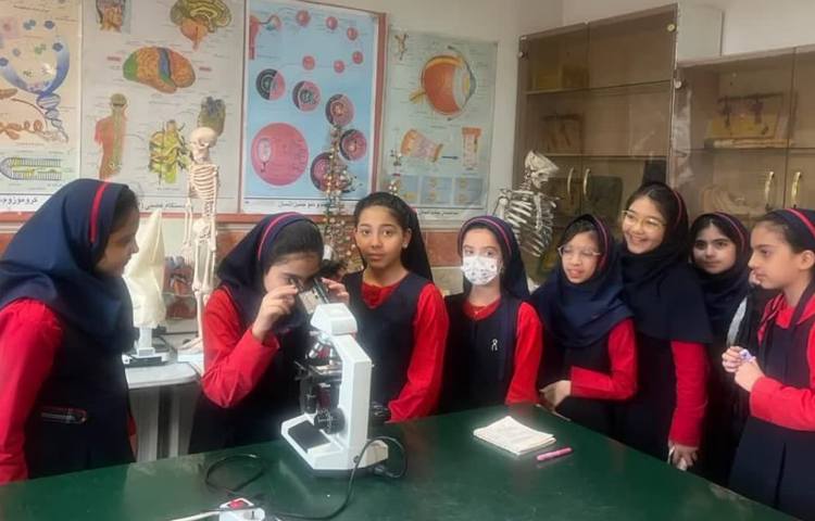 پژوهش سرای جوان 5