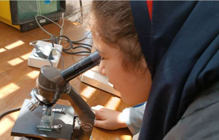 پژوهش سرای دکتر حسابی 7