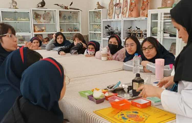 پژوهش سرای دکتر حسابی