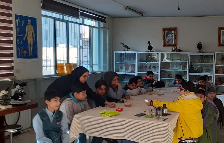 پژوهش سرا 13