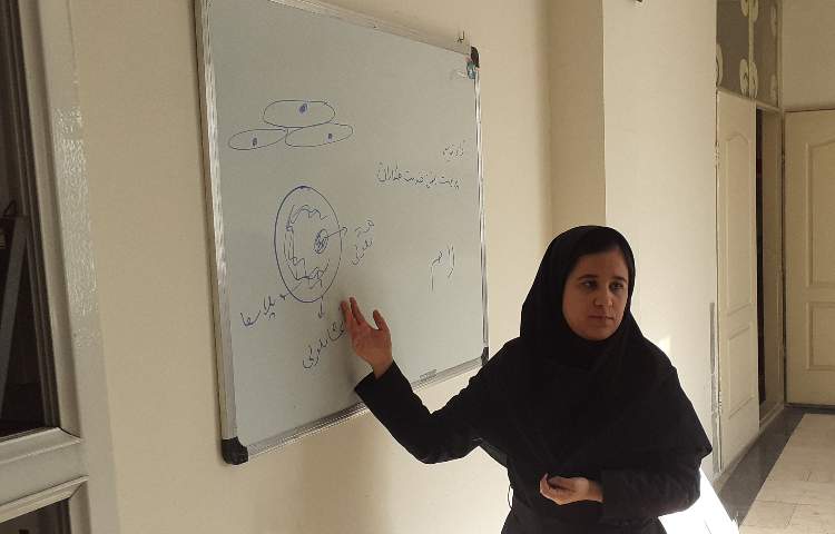 پژوهش سرا 14