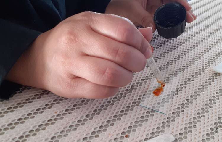 پژوهش سرا 15