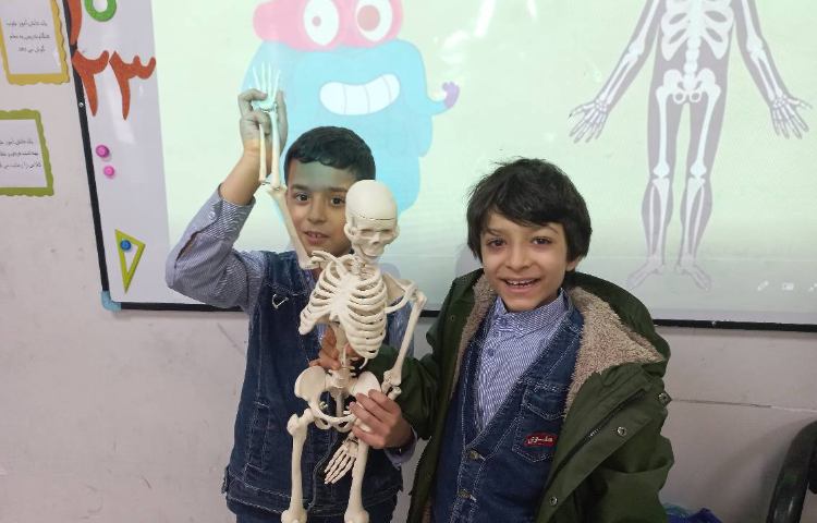 پژوهش پوکی استخوان در کلاس انجام گردید 3