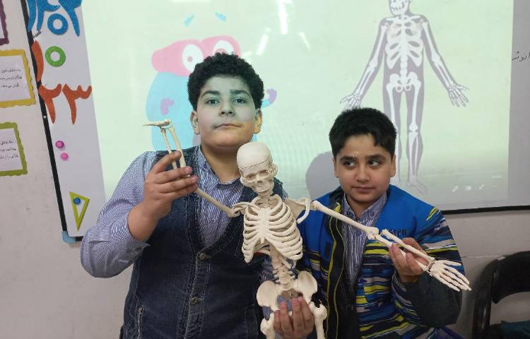 پژوهش پوکی استخوان در کلاس انجام گردید