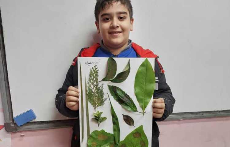 پیدا کردن برگ در محیط اطراف و دسته بندی آنها