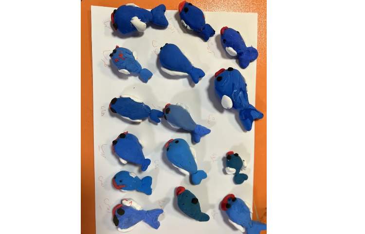 پیش دبستان 6