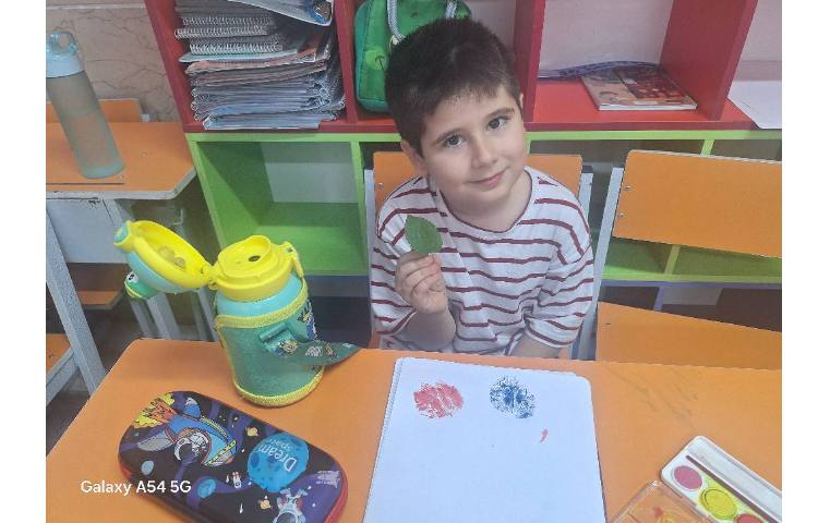 چاب برگ ،درخت با ابرنگ 2