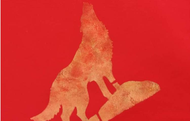 چاپ با رنگ اکریلیک روی لباس و پارچه 1