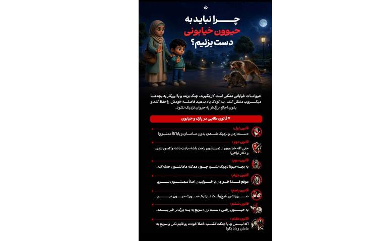 چرا نباید به حیوانات خیابانی دست بزنیم ؟ 1
