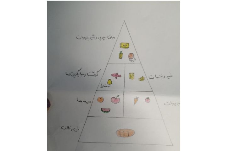 چرخه گروه مواد غذایی 4