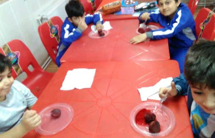 چغندر پر برکت 1