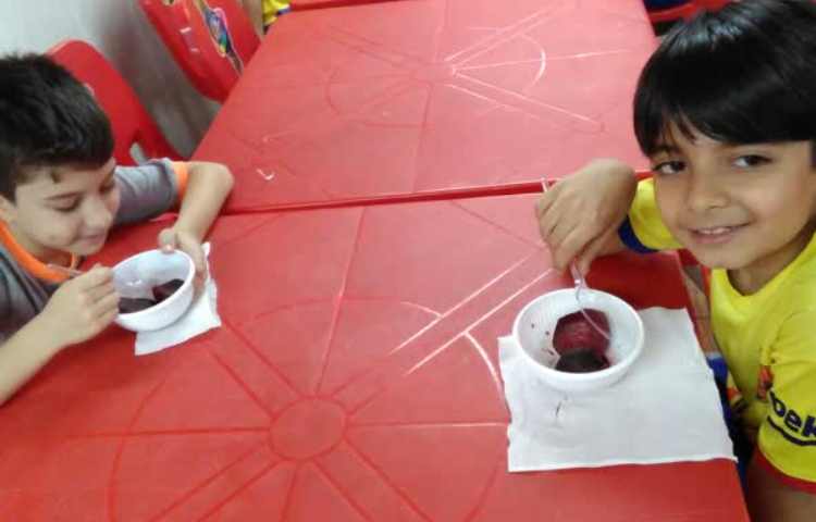 چغندر پر برکت 2