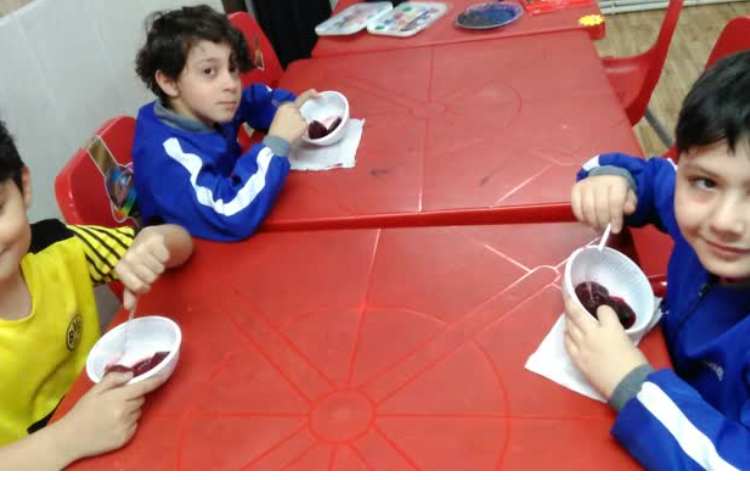 چغندر پر برکت 3