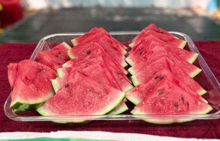 چله تابستان علوی جشن هندوانه ای 13