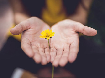 چگونه فرزندانی اهل بخشش داشته باشیم؟