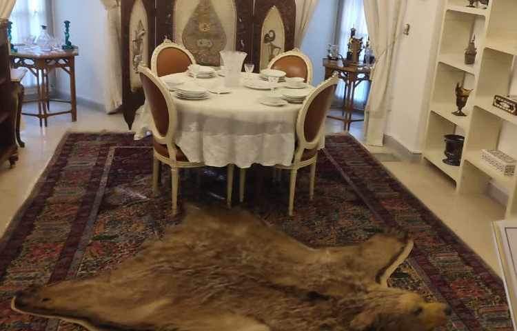 کاخ نیاوران 32