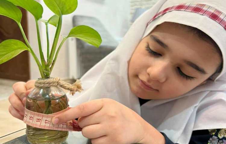 کاربرد محیط در زندگی و اندازه گیری محیط اشیاء گرد