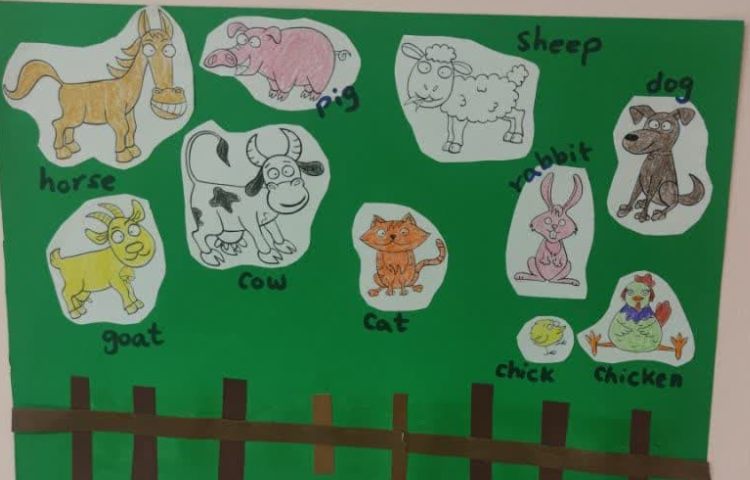 کاردستی انگلیسی حیوانات اهلی