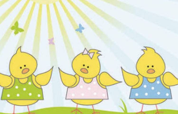 کاردستی جوجه اردک 3