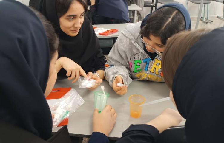 کارسوق صابون سازی 2