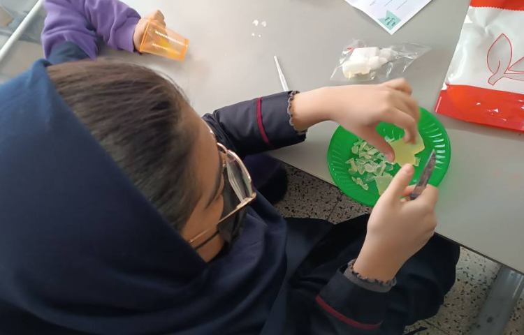 کارسوق صابون سازی