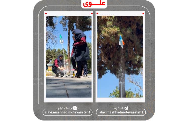 کارسوق موشک آبی 10