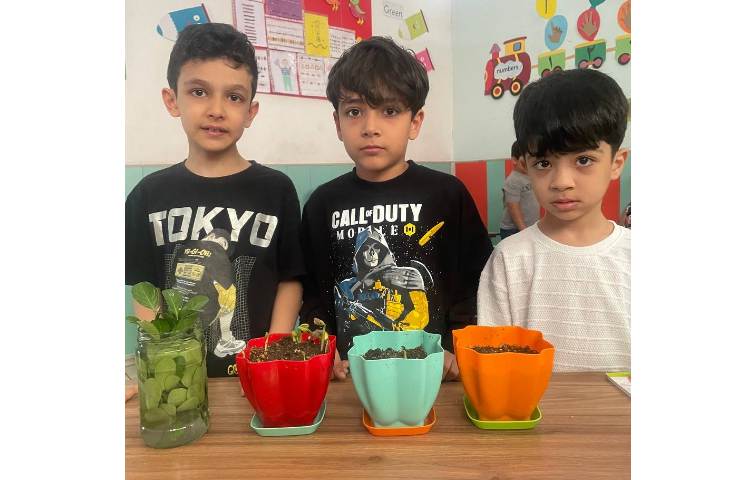 کارگاه باغبانی 1