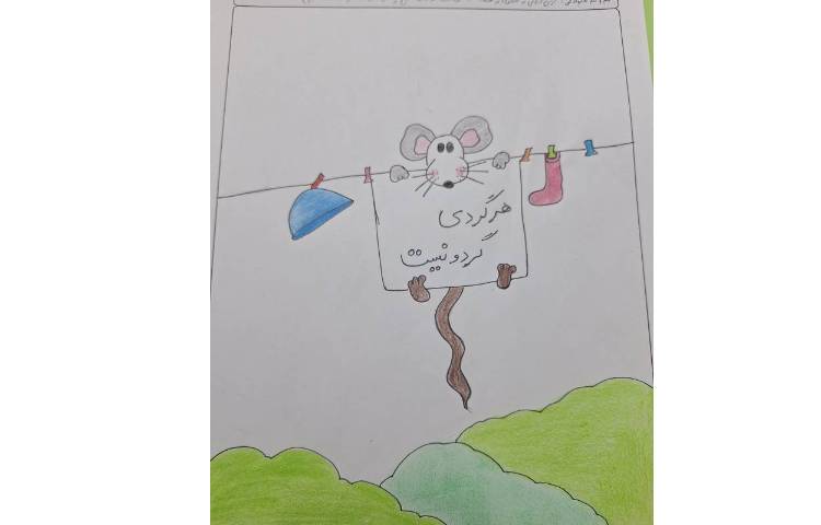 کاریکاتور و صرب المثل ،هر گردی گردو نیست 1