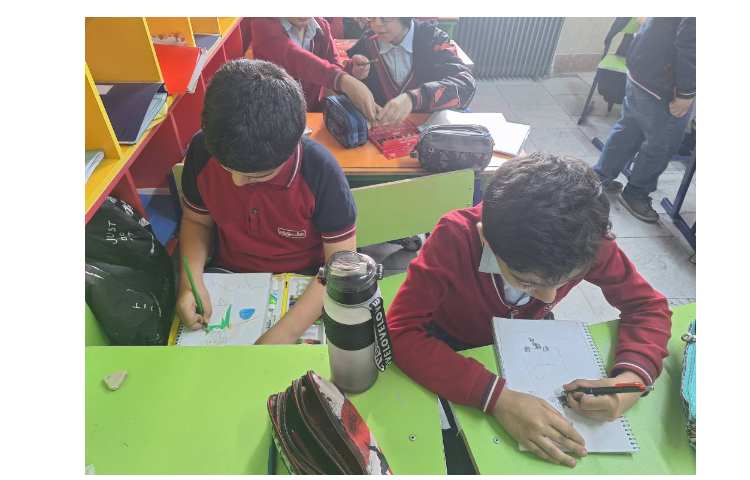 کاریکاتور و صرب المثل ،هر گردی گردو نیست 2