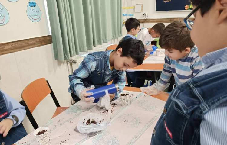 کاشت بذر ریحان به صورت گروهی 1